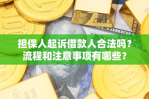 北京担保人起诉借款人合法吗？流程和注意事项有哪些？
